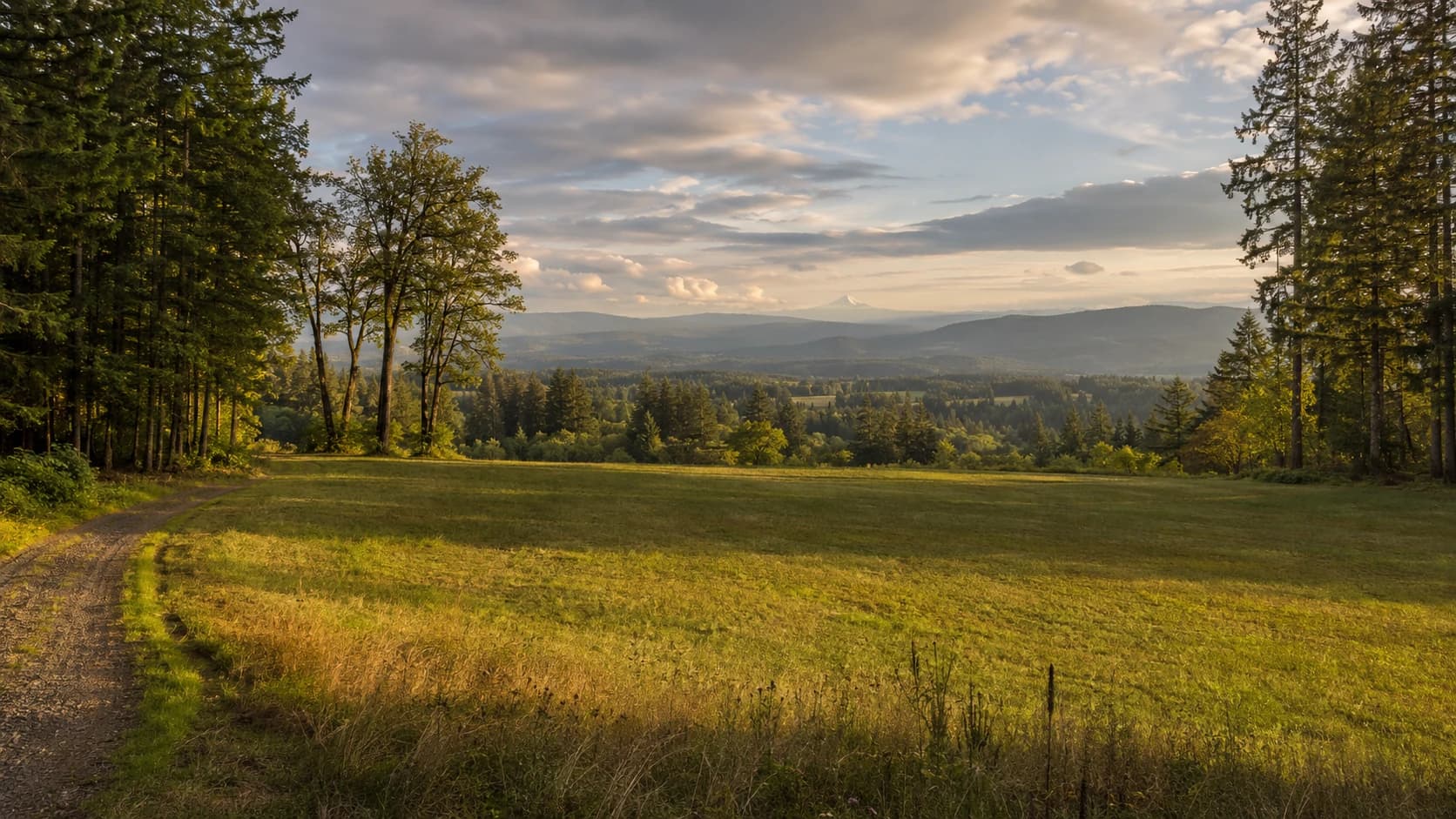 Finding Your Land